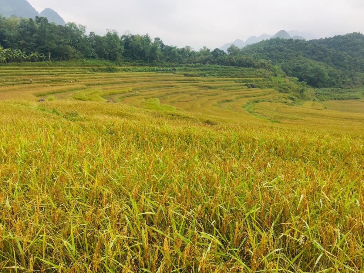 Pu Luong Ecolodge Exterior photo
